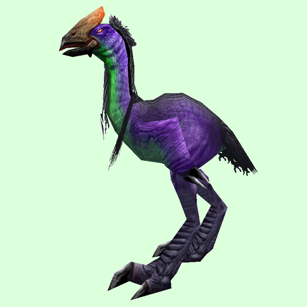 Purple Tallstrider