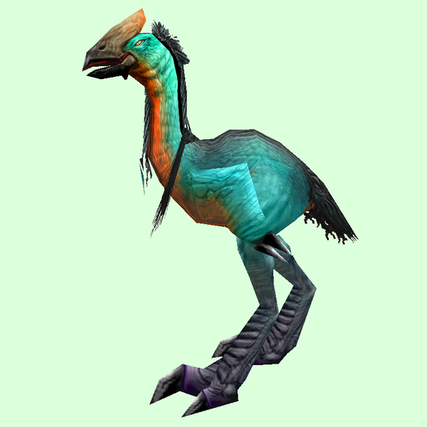 Turquoise Tallstrider