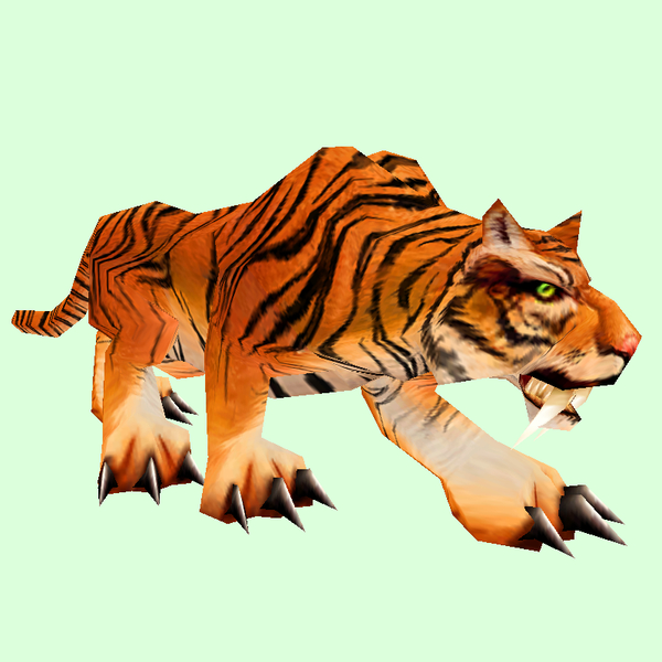 Orange Striped Cat