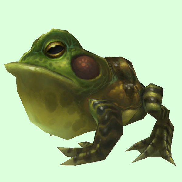 Green Toad