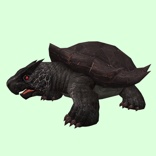 Black & Brown Smooth Dragon Turtle