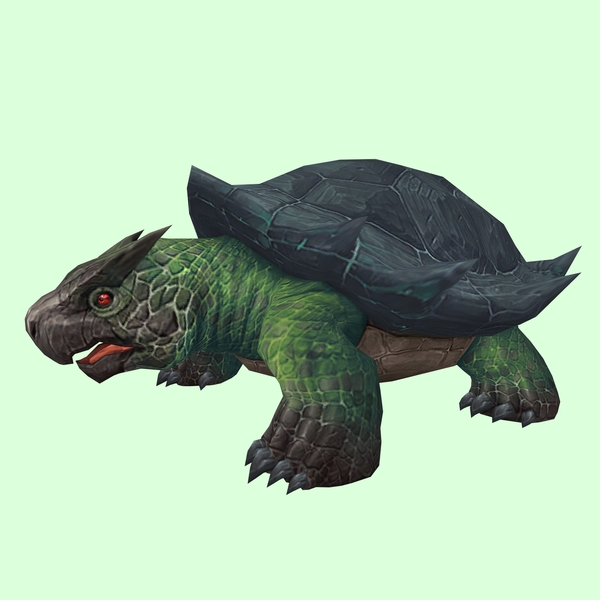 Green & Grey Smooth Dragon Turtle