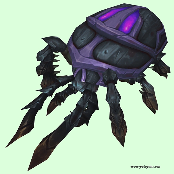 Black Scarab w/ Magenta Spots