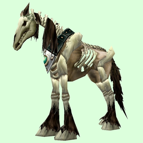Brown Skeletal Horse