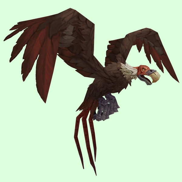 Brown Vulture