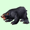 Black Bear