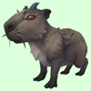 Dark Brown Capybara