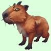 Red Capybara