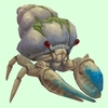 Blue & White Hermit Crab w/ Algal Shell