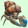 Blue & White Hermit Crab w/ Orange & Black Shell