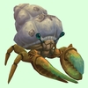 Bronze Hermit Crab w/ Barnacled Shell