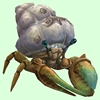 Bronze Hermit Crab w/ Barnacled Shell