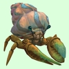 Bronze Hermit Crab w/ Pale Orange & Blue Shell