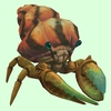 Bronze Hermit Crab w/ Orange & Black Shell