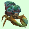 Bronze Hermit Crab w/ Green-Spotted Shell