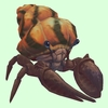 Brown Hermit Crab w/ Orange & Black Shell