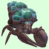 Brown Hermit Crab w/ Green-Spotted Teal Shell