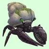 Onyx & Emerald Hermit Crab w/ Algal Shell