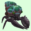 Onyx & Emerald Hermit Crab w/ Green-Spotted Teal Shell