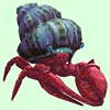 Ruby & Sapphire Hermit Crab w/ Purple & Green Shell