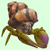 Green & Purple Hermit Crab w/ Orange & Black Shell