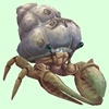 Ivory Hermit Crab w/ Barnacled Shell