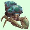 Ivory Hermit Crab w/ Green-Spotted Teal Shell