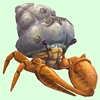 Orange Hermit Crab w/ Barnacled Shell