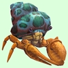 Orange Hermit Crab w/ Green-Spotted Teal Shell