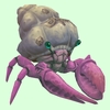 Pink Hermit Crab w/ Barnacled Shell