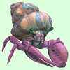 Pink Hermit Crab w/ Pale Orange & Blue Shell