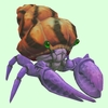 Purple Hermit Crab w/ Orange & Black Shell