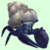 Indigo Hermit Crab w/ Barnacled Shell