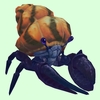 Indigo Hermit Crab w/ Orange & Black Shell