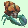 Teal Hermit Crab w/ Orange & Black Shell