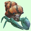 Teal Hermit Crab w/ Orange & Black Shell