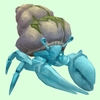 Light Blue Hermit Crab w/ Algal Shell