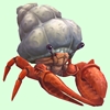 Vermilion Hermit Crab w/ Plain Shell