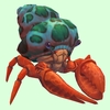 Vermilion Hermit Crab w/ Green-Spotted Teal Shell