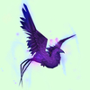Void Purple Phoenix