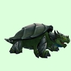 Grey & Dark Green Dragon Turtle