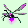 Purple Firefly