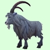 Grey Goat