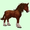 Dark Chestnut Horse w/ Long Mane