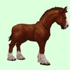 Dark Chestnut Horse w/ Short Mane/Tail