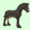 Dark Brown Horse w/ White Belly & Short Mane/Tail