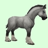 Grey Horse w/ Short Mane/Tail