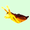 Yellow Magma Slug