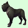 Black Mastiff