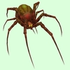 Red-Olive Spider